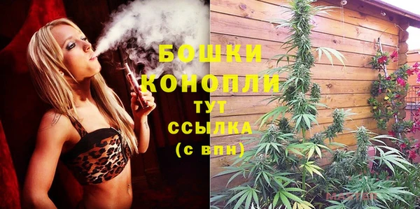 мет Нягань