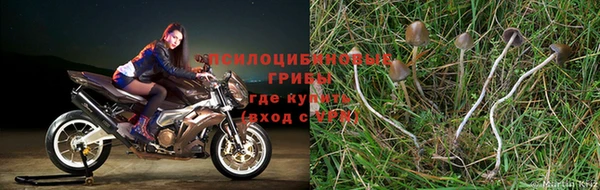 дистиллят марихуана Нязепетровск