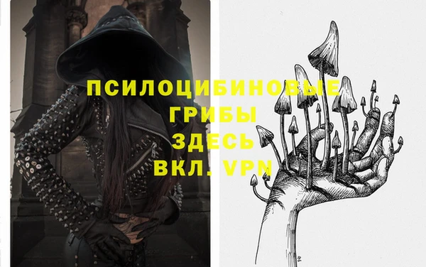 мет Нягань