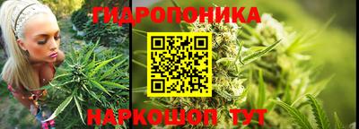 МДПВ Дубна