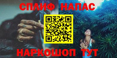 МДПВ Дубна
