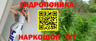 МДПВ Дубна