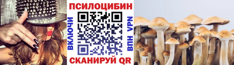 мега зеркало  Татарск  Псилоцибиновые грибы мицелий  хочу  