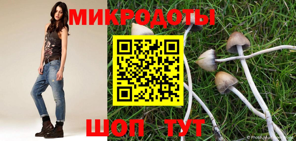 Галлюциногенные грибы Psilocybe Татарск
