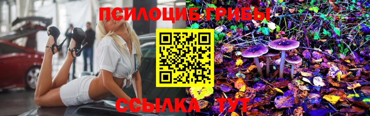 Псилоцибиновые грибы Magic Shrooms  Вход с VPN  Галлюциногенные грибы Cubensis  Татарск 